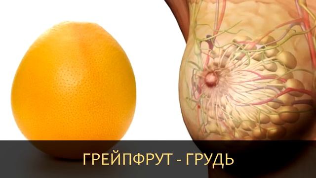 Еда полезна для ТОЙ ЧАСТИ ТЕЛА, на которую ПОХОЖА!