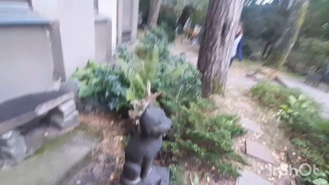 Прогулка по Светлогорску. Поляна сказок Гофмана. Дом сказочника. Макет старого Кенегсберга. смотреть онлайн