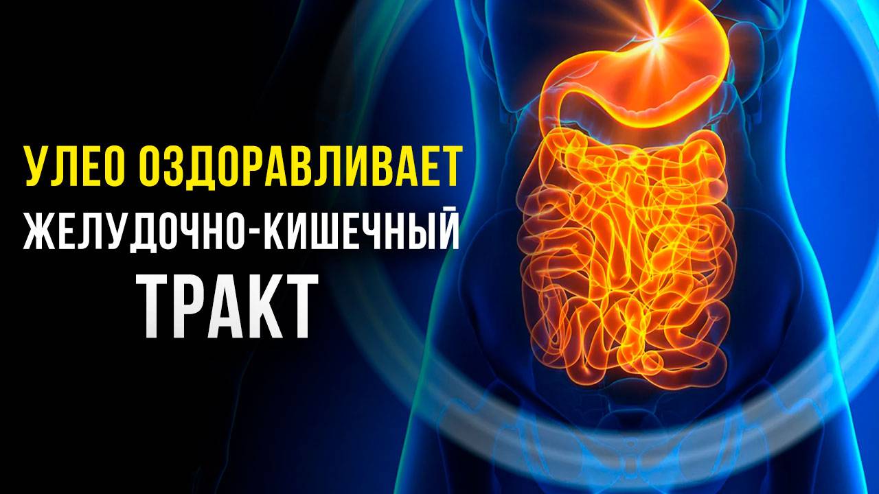 ЖКТ Без Проблем! Самое МОЩНОЕ Оздоровление ЖКТ | Исцеляющая Медитация смотреть онлайн
