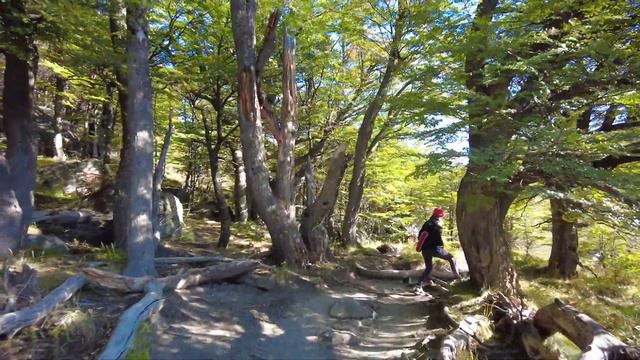 Патагония. Часть 2: Аргентина, Трек к Фицрою смотреть онлайн