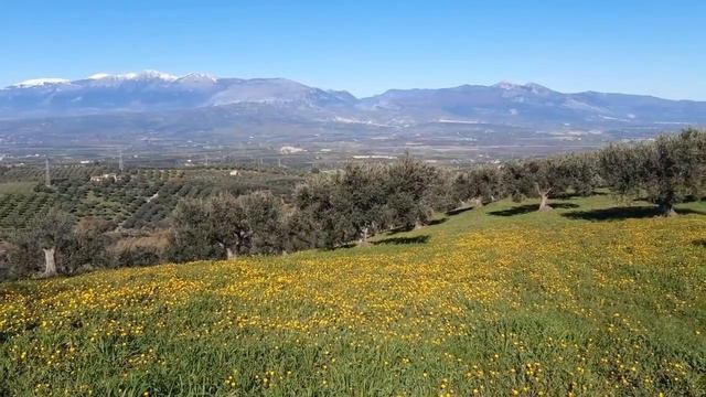 Что с нами будет в 2023 году,внедрение электронных денег. НАС ЖДЁТ БЕДНОСТЬ.