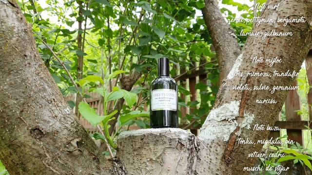 Geoffrey Beene Grey Flannel ~ Parfumeria GaVo* ??