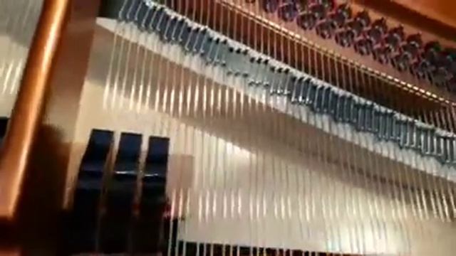 Bosendorfer 200 смотреть онлайн