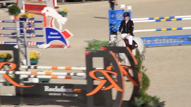 Cornoba Cocles Z f.2009 (Cornet Obolensky x Centurion Montfort) смотреть онлайн