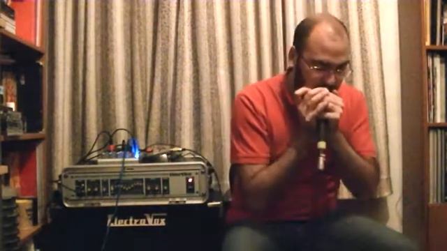 Enigma - Sadeness (Part II - Principles of Lust) -harmonica cover- смотреть онлайн