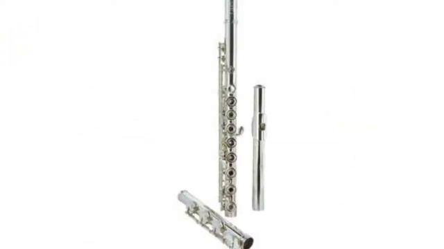 The Best Flute Brands For Beginners 🐊 смотреть онлайн