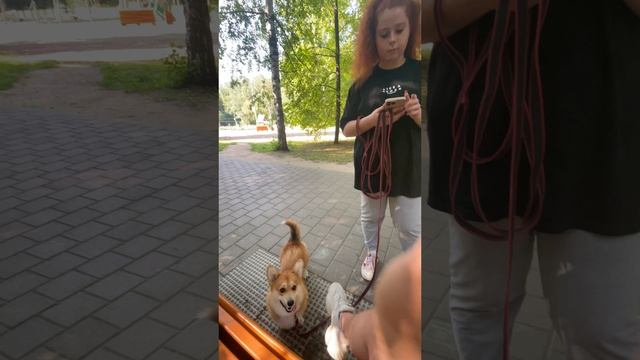 Не сиди в телефоне! А то.... смотреть онлайн