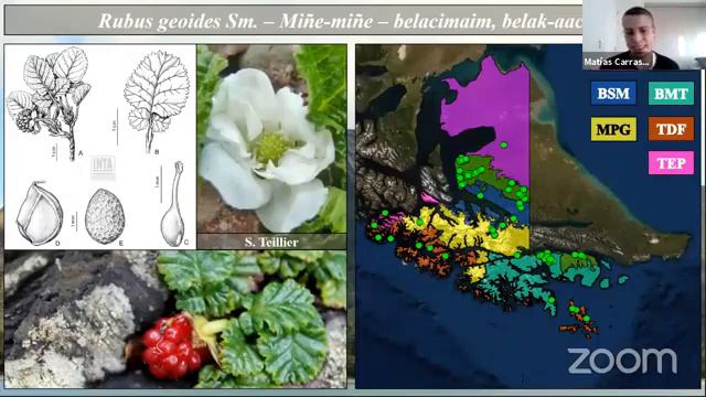 12. Flora de Tierra del Fuego y Cabo de Hornos - Matías Carrasco Canales смотреть онлайн