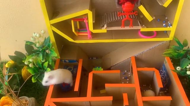 Hamster House TV : Construct 7-storey Pyramid Labyrinth | Summary Of Good Games Of Hamsters смотреть онлайн