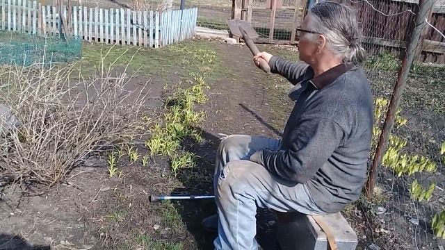 Как мы живем ! Три дня в деревне. Вот это поработали ! Наводим порядок на участке нашего дома.