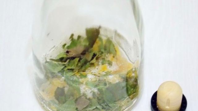 Сборник рецептов