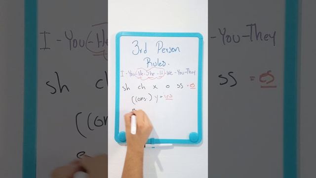 Simple Present Tense - 3rd Person Rules/-s, -es, -ies. смотреть онлайн