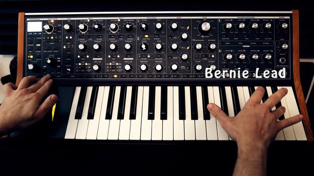 MOOG Subsequent 37 /FUNKY Leads & Basses SOUNDSET смотреть онлайн