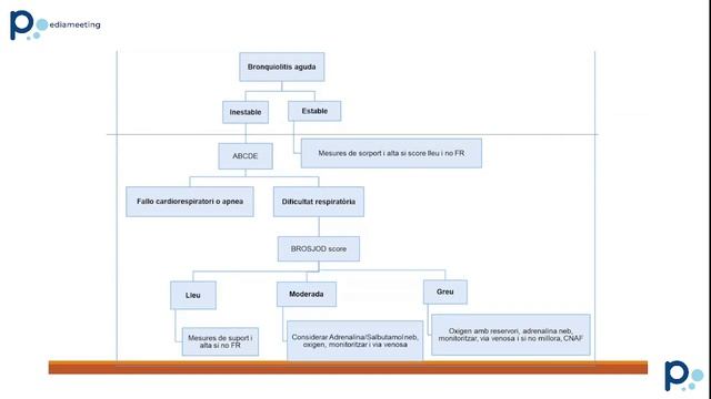 Actualització en el maneig de la bronquiolitis per VRS. Temporada 2023-24 смотреть онлайн