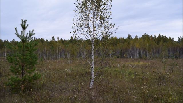 ГСВГ. 2-я Танковая Армия. Часть 15. Офицеры и прапорщики. Продолжение. смотреть онлайн