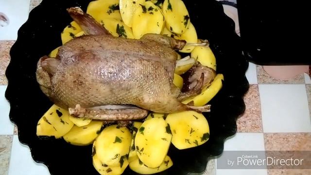 Игры и Развлечения