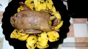 Дикая Утка с Яблоками Запеченная в Духовке! Простой рецепт!Очень вкусно!