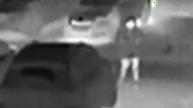 Тепловизор Hikmicro lc06 первый тест. смотреть онлайн