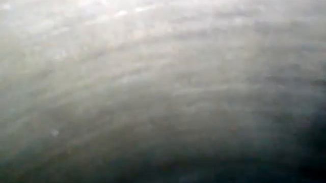 ДВС 1.6 100 лс HWDA без навес Focus 2 (мк п37, №1)