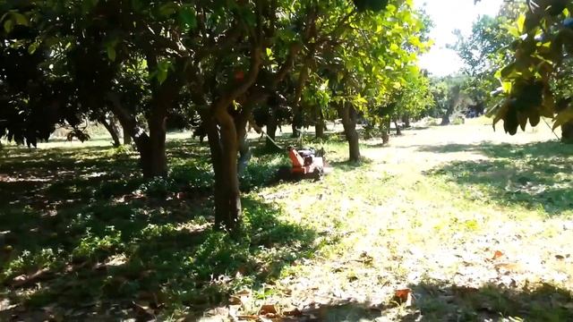 BRUMI sm 60 bm 70 смотреть онлайн