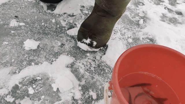 Зимняя рыбалка2021. Женский взгляд смотреть онлайн