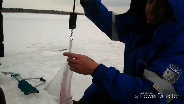 Ульяновск рыбалка 17.03.2019. смотреть онлайн