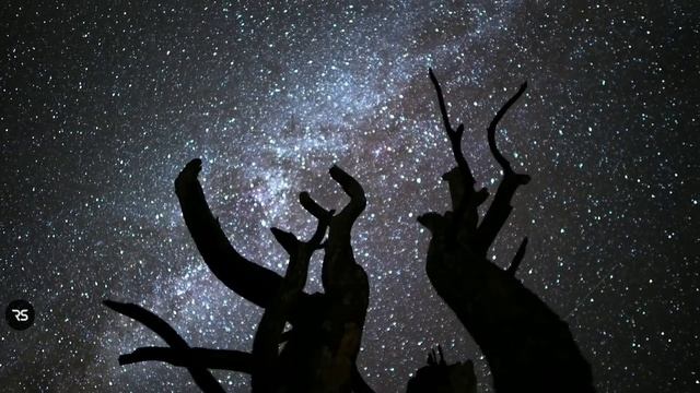 Pascal Letoublon - Friendships (unofficial Video).mp4 смотреть онлайн