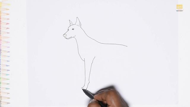Doberman dog outline sketch | How to draw easy drawing Doberman dog | step by step drawing tutorial смотреть онлайн