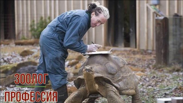 Зоолог профессия