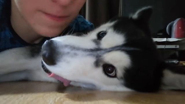 От любви до ненависти одна секунда смотреть онлайн