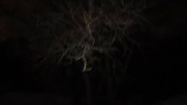 Дима ньюс выпуск 130! Парк Кузьминки! Вечерняя прогулка! Драконы! смотреть онлайн