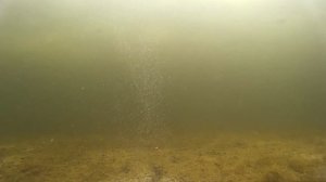 Прикормка манкой на зимней рыбалке. Лучшая прикормка на плотву. Подлёдное видео.