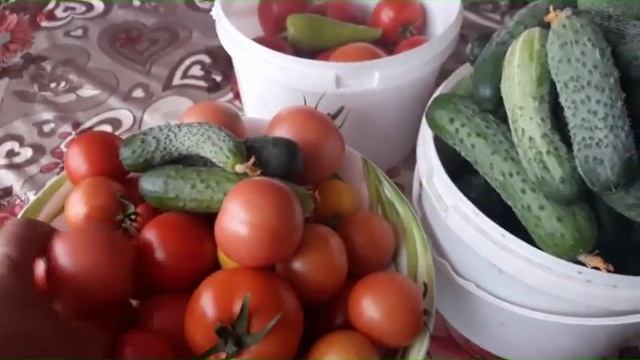 ЗАКРЫВАЕМ ОГУРЦЫ И КОМПОТ. смотреть онлайн