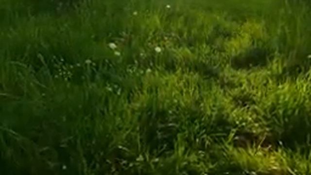 нежная мелодия для релаксации и отдыха и красивая природа смотреть онлайн