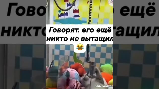 котик чек!🤣😂 смотреть онлайн
