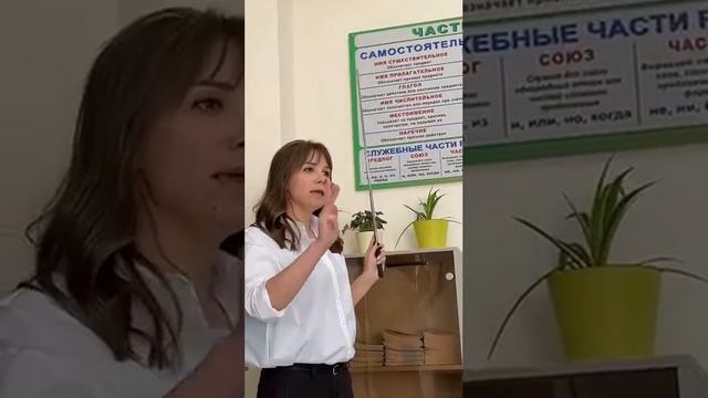 Nshtein смотреть онлайн