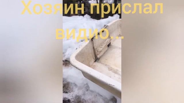 БАГАЖНИК НА КРЫШУ ДЛЯ ЛОДКИ, ПОКУПКА ПЛАСТИКОВОЙ ЛОДКИ, ОБЗОР Nissanmaran Laker. смотреть онлайн