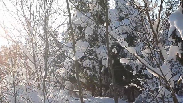 Зимняя сказка подаренная природой на Рождество❄🌲❄ смотреть онлайн