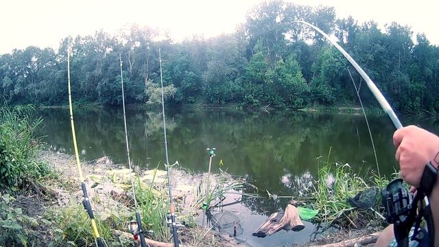 Рыбалка на реке Северский Донец на фидер и донки (пружины) в районе г. Рубежное смотреть онлайн