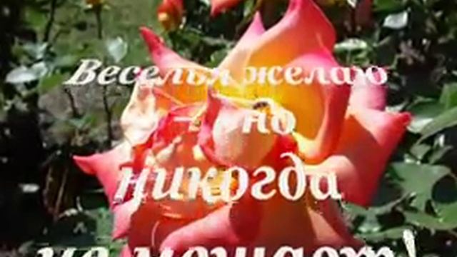 С Днем Рождения! — Видео@Mail Ru Mozilla Firefox смотреть онлайн