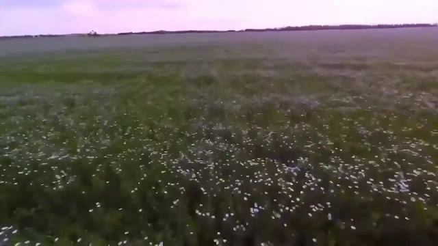 ЖИЗНЬ ПРОЖИТЬ - НЕ ПОЛЕ ПЕРЕЙТИ.Авторская мелодекламация Людмила Бабкина.(видео Л.Б.) смотреть онлайн