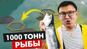 САМОЕ Крупное ФОРЕЛЕВОЕ ХОЗЯЙСТВО в Кыргызстане