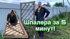 Шпалера за 5 минут // как сделать шпалеру