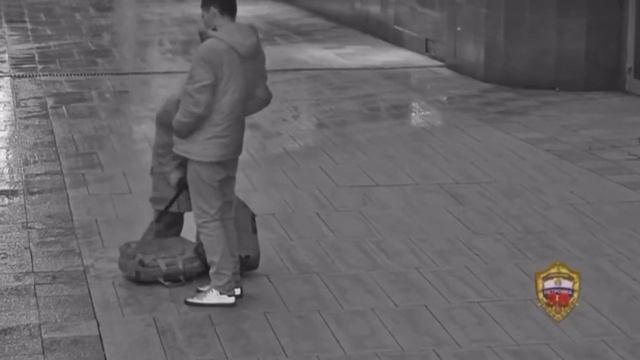 Мигрант ограбил бабушку.