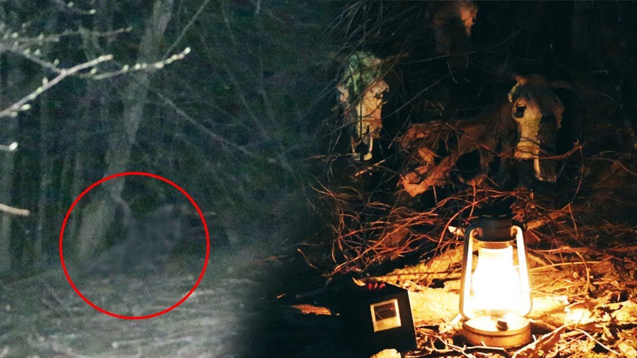 Заснял РЕАЛЬНУЮ сущность с потустороннего мира Провел сеанс ЭГФ смотреть онлайн