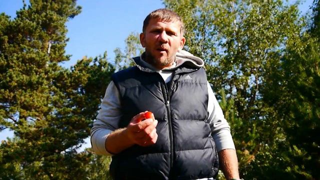 ✅Шамильский район | Экспедиция #дагестан, #шамильскийрайон, #кемпинг #походвгоры смотреть онлайн