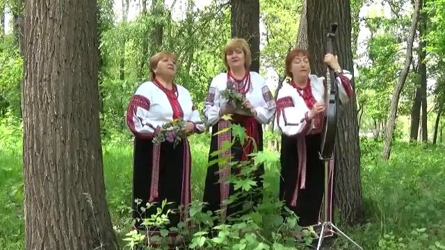 ТАП трио Калынонька Муз Игорь Шамо сл. Дмитро Луценко Зозуленька смотреть онлайн