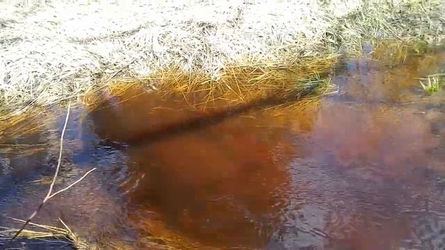 Ручей выходит из берегов. смотреть онлайн