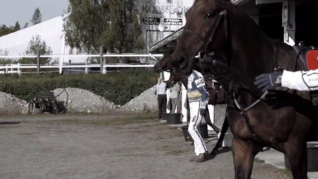 Корма для лошадей «Рейсинг» – отличное решение от «Ханккия» смотреть онлайн