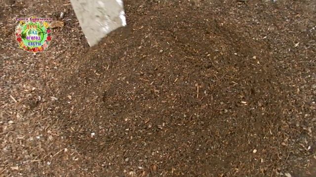 Откуда землица? Из леса, вестимо!.. смотреть онлайн